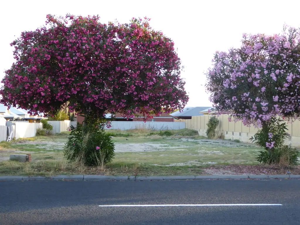 Main view of Homely land listing, 61 Beach Road, South Bunbury WA 6230