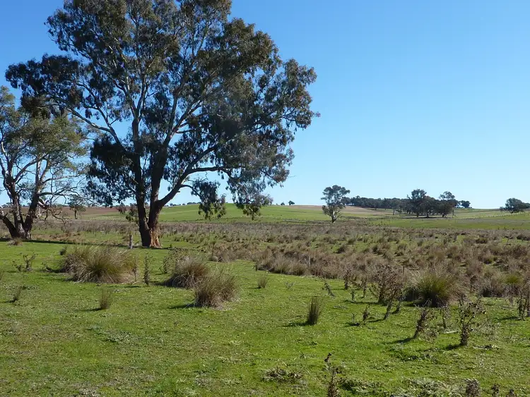 Fifth view of Homely rural property listing, 300 McClures lane Keajura, Wagga Wagga NSW 2650