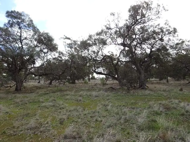Second view of Homely rural property listing, Lot 2 Line Road, Moama NSW 2731