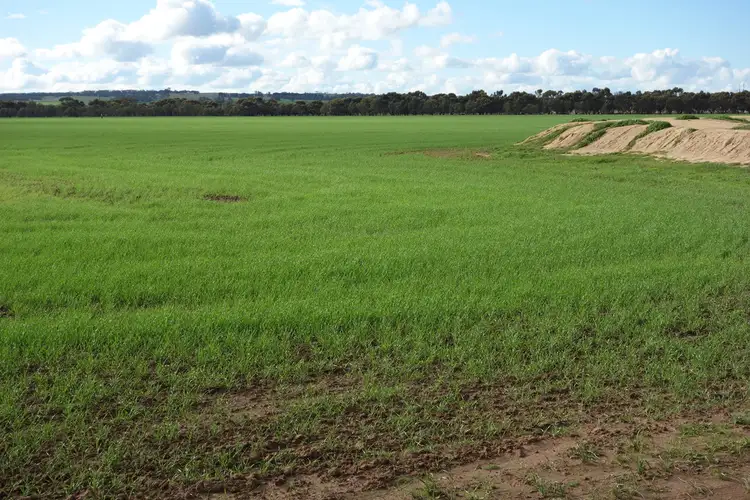 Lot 792 Tieline Road, Woodanilling WA 6316