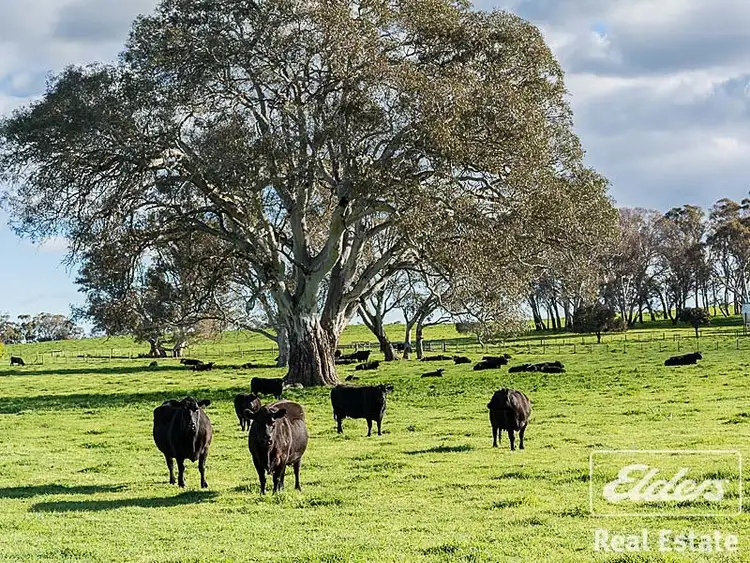 Sixth view of Homely rural property listing, 146 A Ken Hicks Road, Mount Pleasant SA 5235