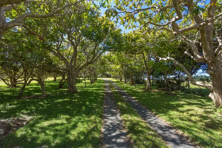 Fifth view of Homely house listing, 333 North Creek Road, Lennox Head NSW 2478