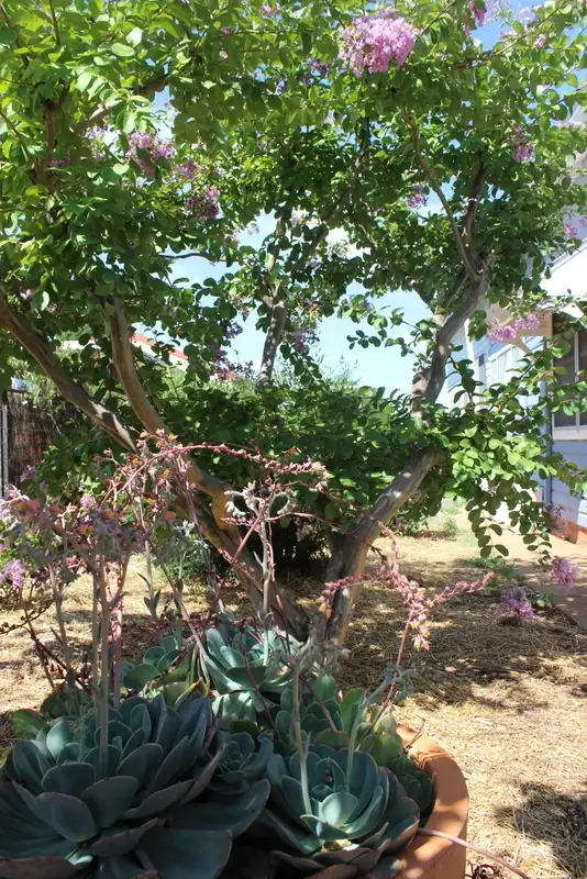 Third view of Homely house listing, 9 Bellevue Street, Temora NSW 2666