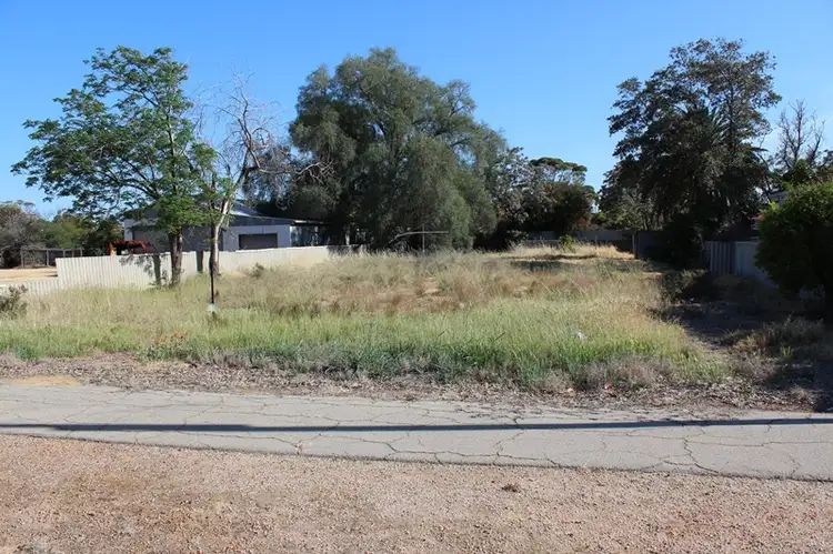 Main view of Homely land listing, 8 Redmond St, Tammin WA 6409