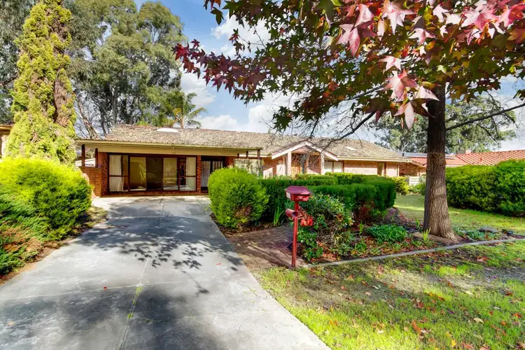Main view of Homely house listing, 20 Vynland Drive, Flagstaff Hill SA 5159