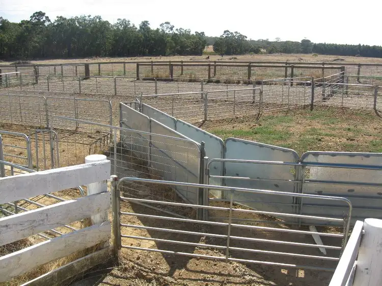 Second view of Homely rural property listing, 354 RANDALL ROAD, Perillup WA 6324