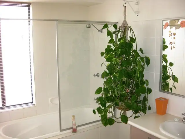 Third view of Homely villa listing, Unit 2/28 Forrest Street, Pinjarra WA 6208