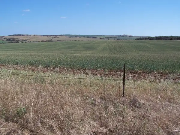Second view of Homely land listing, 109 Cripps Road, Northampton WA 6535