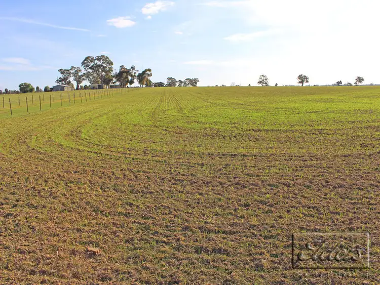Fifth view of Homely rural property listing, Corner Collins Road and Goornong-Mayreef Road, Goornong VIC 3557
