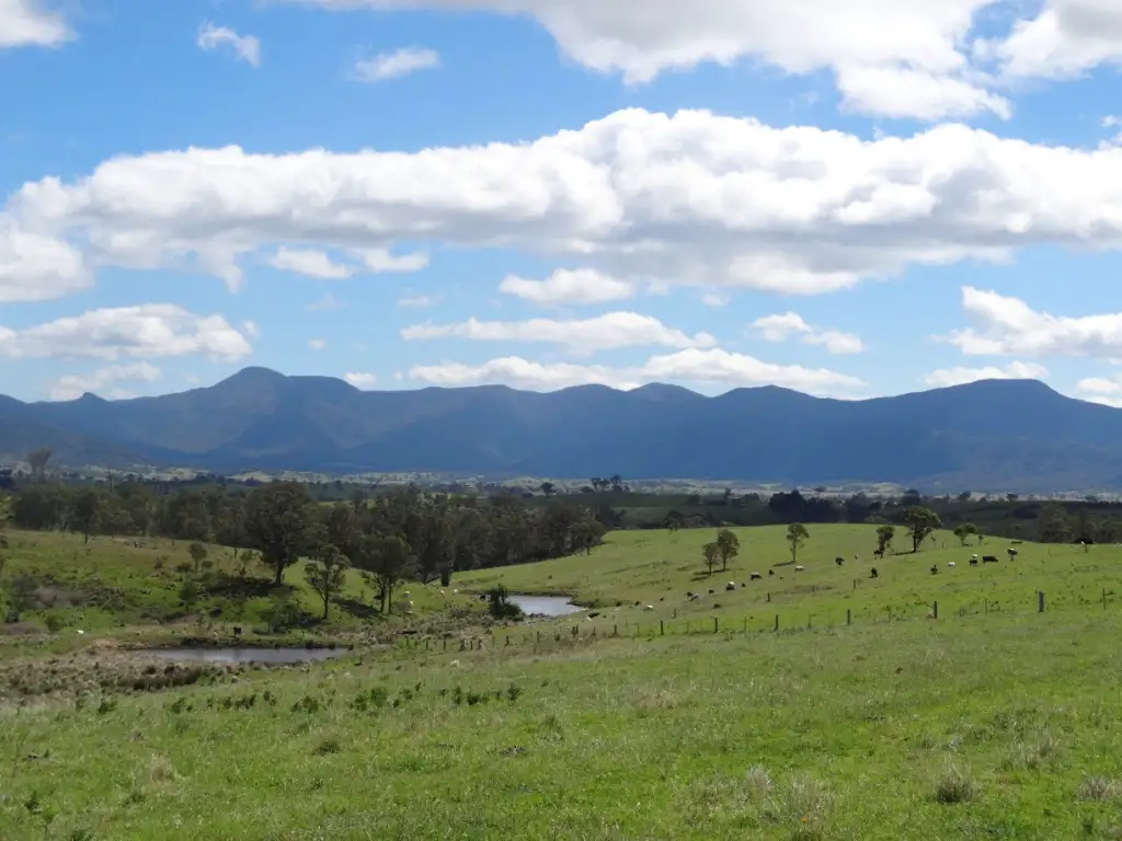 Main view of Homely rural property listing, 660 Sams Corner Rd, Bemboka NSW 2550
