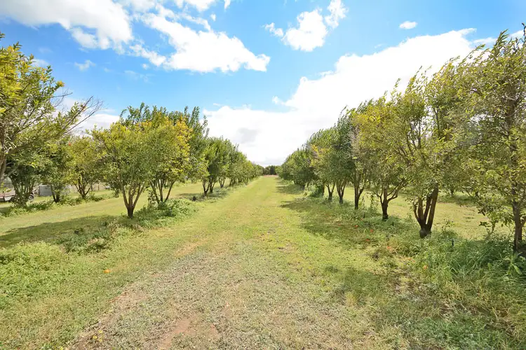 Third view of Homely rural property listing, 88 BARKO ROAD, Iraak VIC 3494