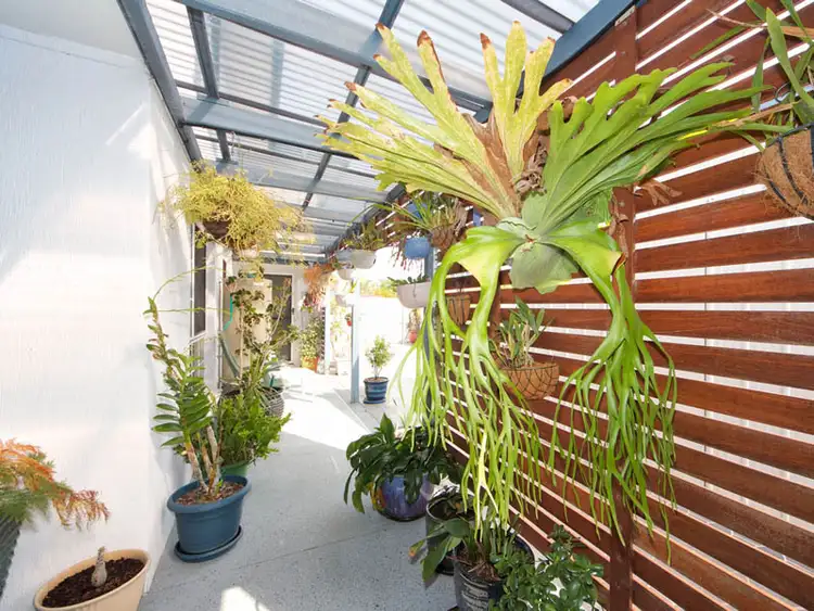 Fourth view of Homely house listing, 2 Windward Place, Banksia Beach QLD 4507