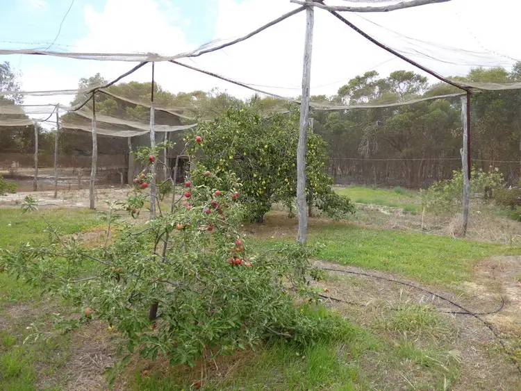 Fourth view of Homely rural property listing, L5 Aerodrome Rd, Ravensthorpe WA 6346