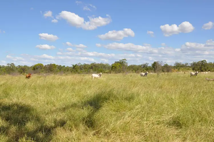 Fourth view of Homely rural property listing, Address available on request