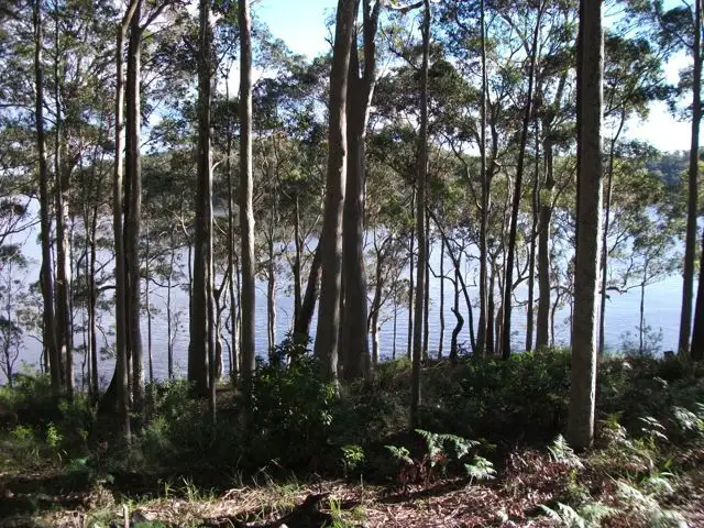 Third view of Homely land listing, 8 William Street, Kings Point NSW 2539