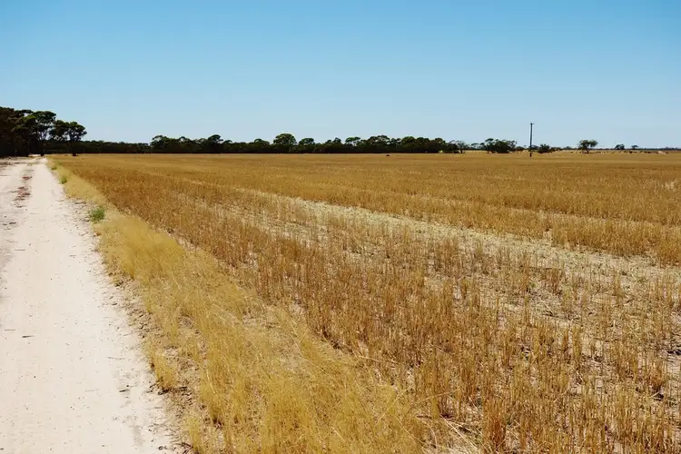 Fifth view of Homely rural property listing, "Wangumma" 1457 Dandagin Road, Jilakin WA 6365