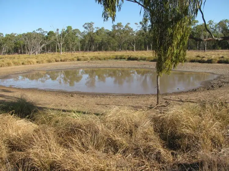 Third view of Homely rural property listing, 81 Yarranabee Rd, Baan Baa NSW 2390