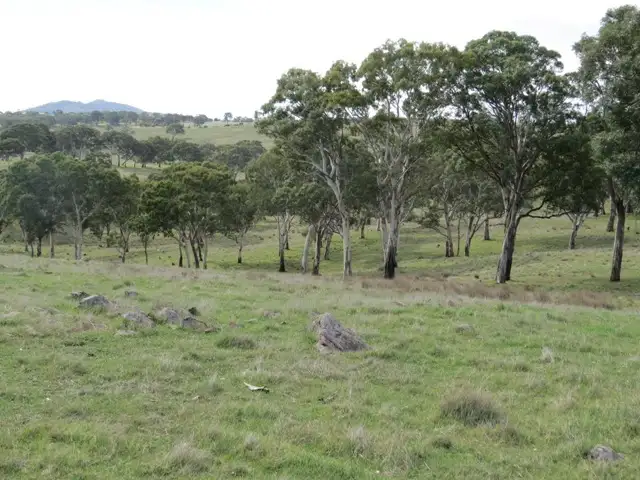 Fifth view of Homely land listing, Lot 4 Wiles Fire Track, Wistow SA 5251