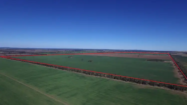 Fifth view of Homely rural property listing, 0 Campbells Road, Punchs Creek QLD 4357