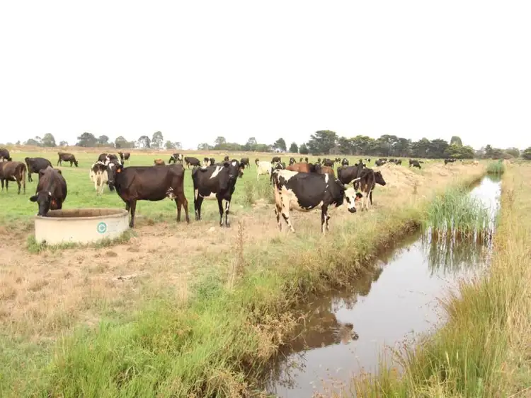 Sixth view of Homely rural property listing, 404 Princes Highway, Sale VIC 3850