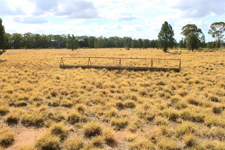 Seventh view of Homely house listing, 52L Mendooran Road, Dubbo NSW 2830