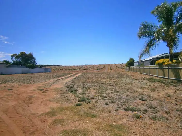 Lot 19 (60) Lewis Street, Ramco Heights SA 5322