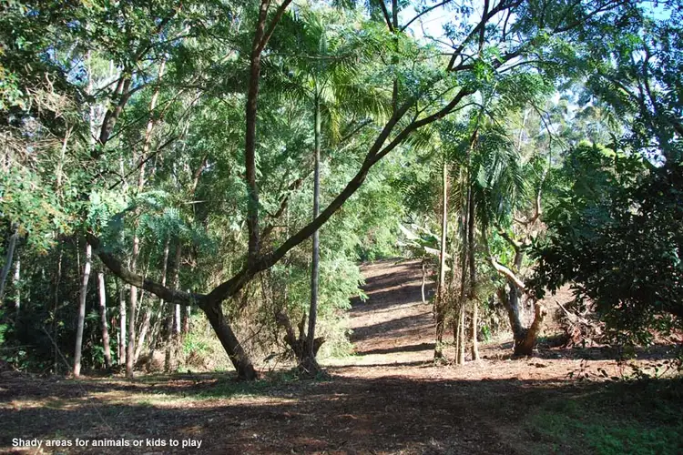 Seventh view of Homely land listing, 132 MacDonnell Road, Tamborine Mountain QLD 4272