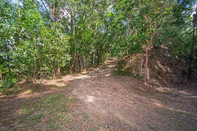 Seventh view of Homely land listing, 233 White Beech Rd, Daintree QLD 4873