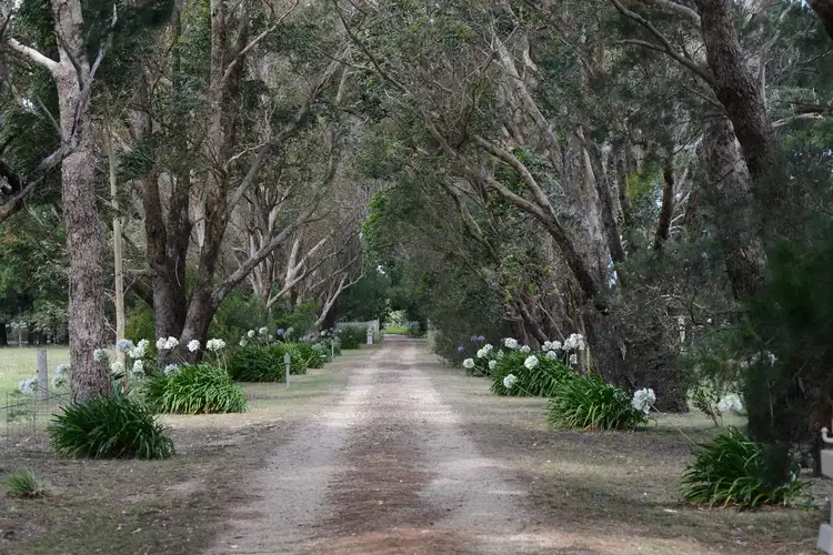 Second view of Homely house listing, 845 Romawi Road, Forge Creek VIC 3875