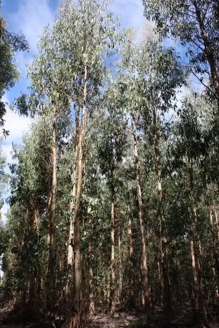 Fourth view of Homely rural property listing, 179 NORMANS ROAD, Mumbannar VIC 3304