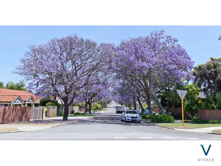 Fifth view of Homely house listing, 11 Alness Street, Applecross WA 6153