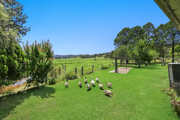 Second view of Homely rural property listing, 386 Gum Scrub Road, Telegraph Point NSW 2441