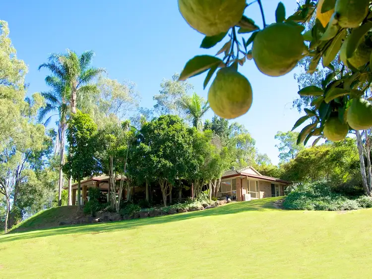 41 Marsilea Road, Fernvale QLD 4306