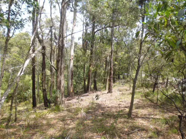 Second view of Homely rural property listing, 20 Shumack Place, Wallagoot NSW 2550