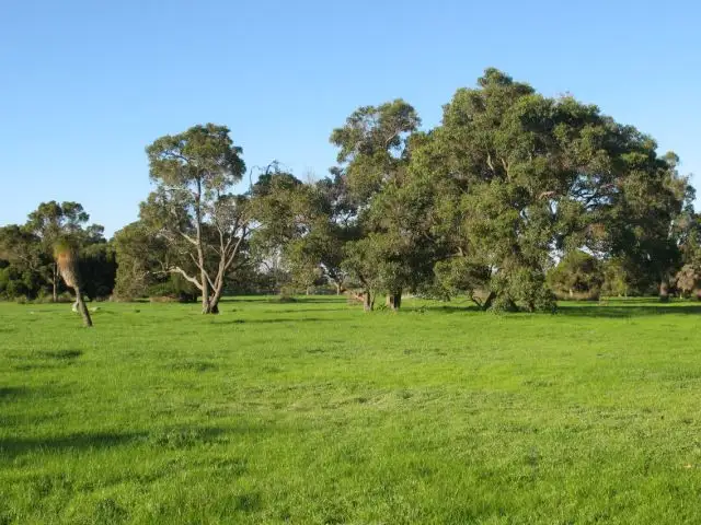 Main view of Homely land listing, 172 Collins Road, Coolup WA 6214