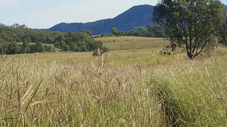 Seventh view of Homely rural property listing, 1095 Glastonbury Road, Glastonbury QLD 4570