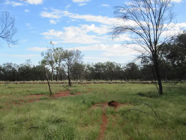 Sixth view of Homely rural property listing, " Cudgee ", Quilpie QLD 4480