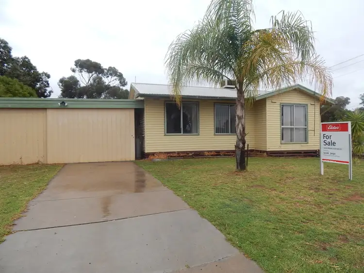 46 Maher Street, Euston NSW 2737