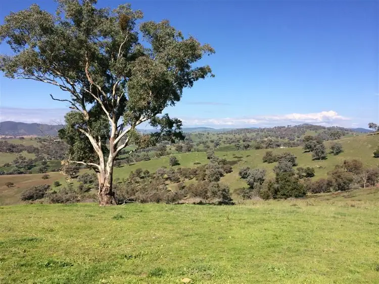 Main view of Homely rural property listing, Lot 1 Back Sandy Gully Road, Adelong NSW 2729