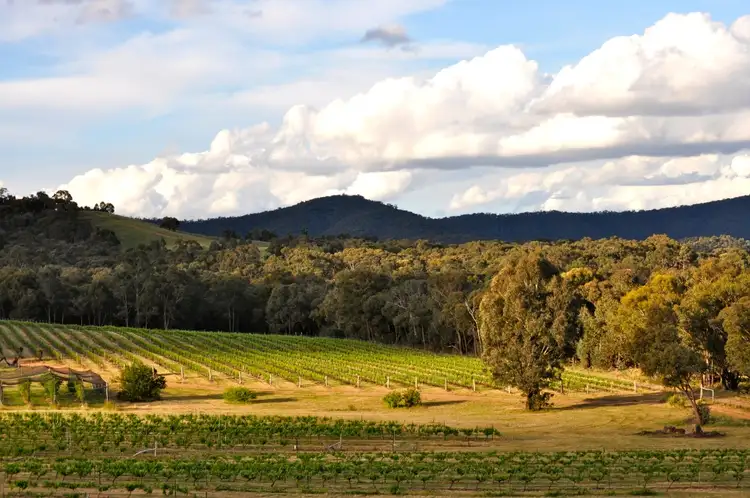 Main view of Homely rural property listing, 107 McAdams Lane, Moonambel VIC 3478