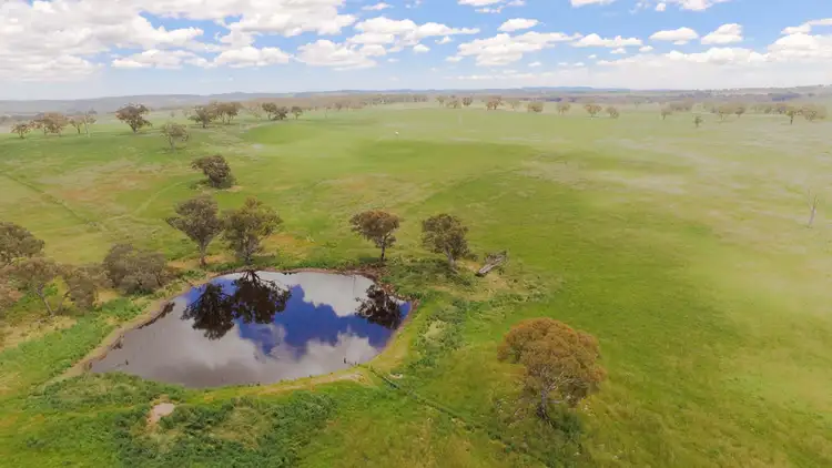 Third view of Homely rural property listing, 2818 Mitchell Highway, Molong NSW 2866