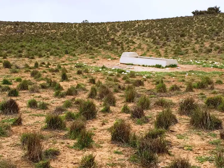 Third view of Homely rural property listing, Section 24 Hundred of Panitya, Kimba SA 5641