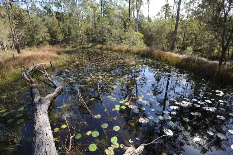 Third view of Homely rural property listing, Lot 392 Sunnyside Road, Glenugie NSW 2460