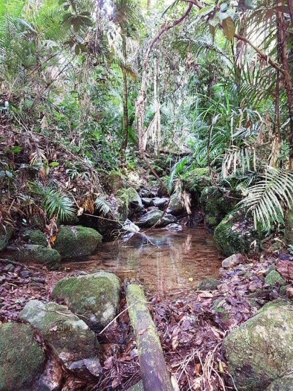 Fifth view of Homely house listing, 118 Maple Rd Cow Bay, Daintree QLD 4873