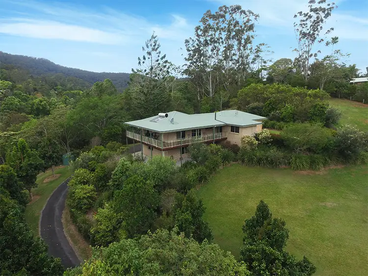 Main view of Homely house listing, 3 TOON CLOSE, Uki NSW 2484