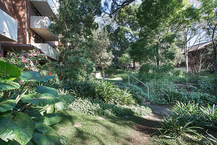 Sixth view of Homely apartment listing, 23/215 Bridge Road, Glebe NSW 2037