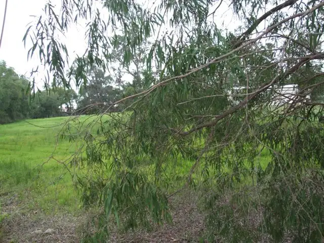 Second view of Homely land listing, Lot 123 Sherrington Crest, Manjimup WA 6258