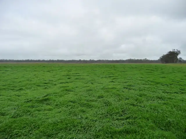 Main view of Homely rural property listing, 745 Wonwondah Dadswells Bridge Rd., Horsham VIC 3400