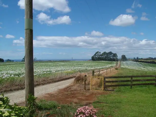 Fourth view of Homely rural property listing, 359 Cuprona Road, Cuprona TAS 7316