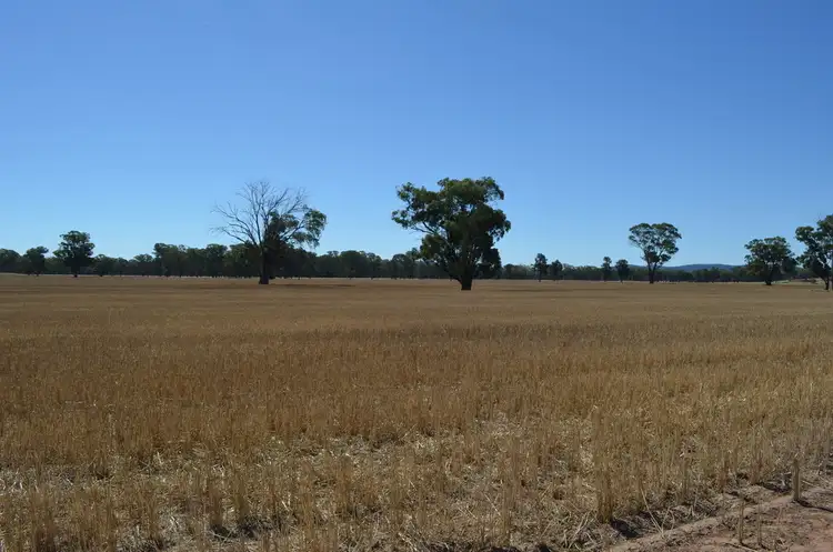 Sixth view of Homely rural property listing, Address available on request